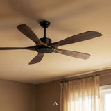 Cirrus Ceiling Fan