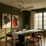 Cirrus Ceiling Fan
