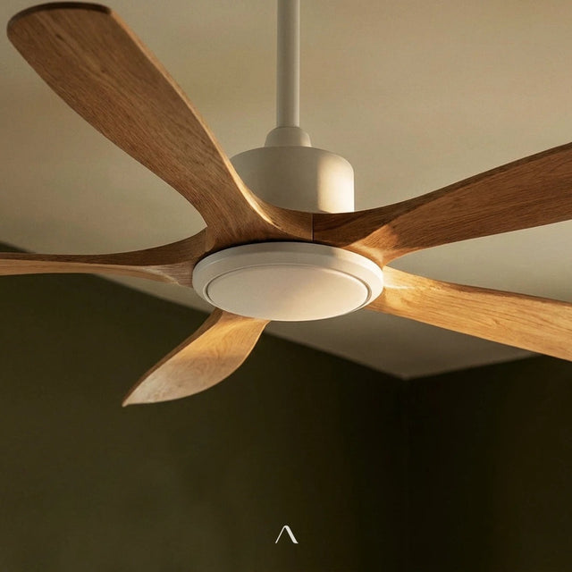 Cirrus Ceiling Fan
