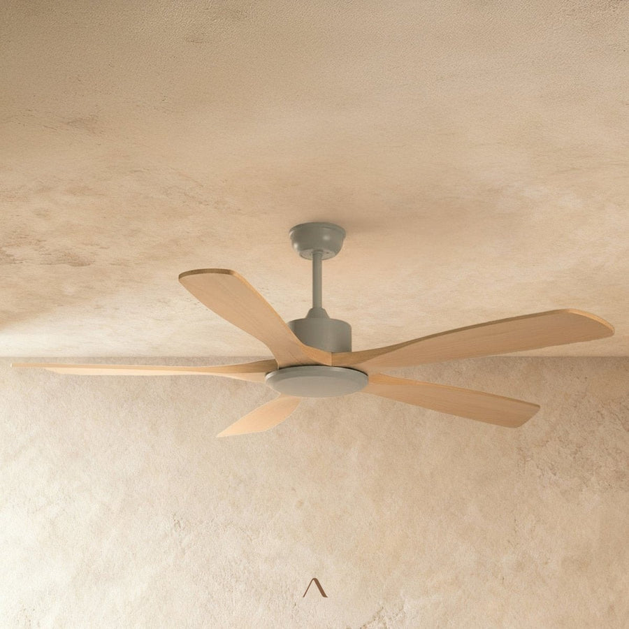 Cirrus Ceiling Fan