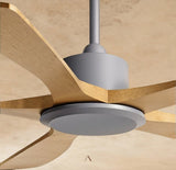 Cirrus Ceiling Fan
