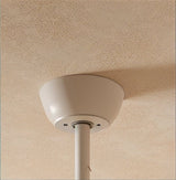 Cirrus Ceiling Fan