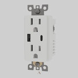 Cisse Outlet