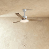 Cobalt Ceiling Fan