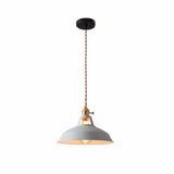 Rothaar Pendant Light