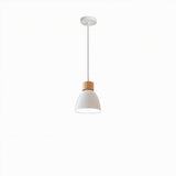 Transom Pendant Light