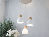 Transom Pendant Light