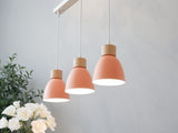 Transom Pendant Light