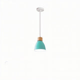 Transom Pendant Light