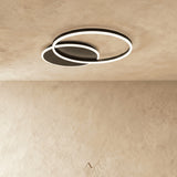Compass Ceiling Light