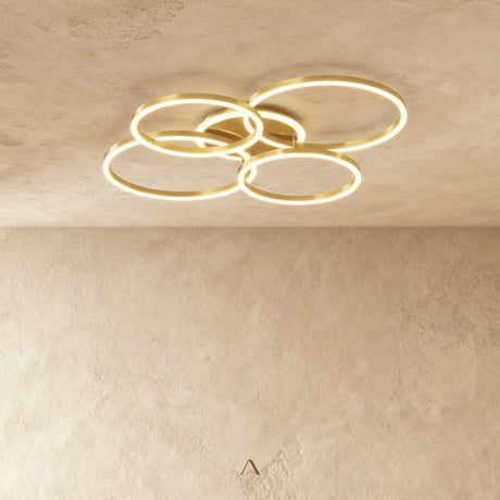 Compass Ceiling Light
