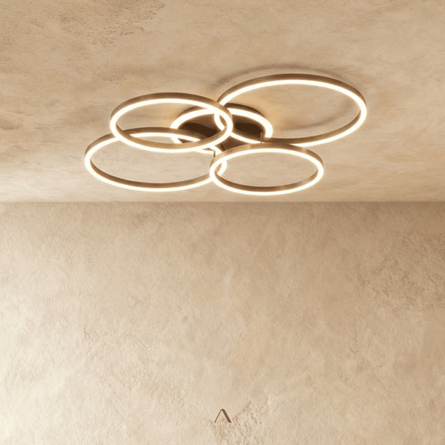 Compass Ceiling Light
