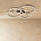 Compass Ceiling Light