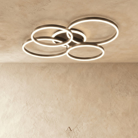 Compass Ceiling Light