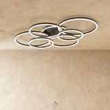 Compass Ceiling Light