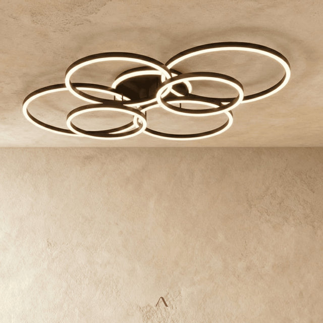 Compass Ceiling Light