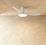 Corundum Ceiling Fan