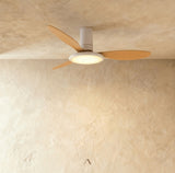 Corundum Ceiling Fan