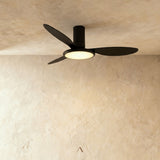 Corundum Ceiling Fan