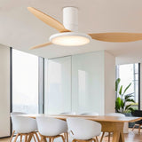 Corundum Ceiling Fan