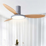 Corundum Ceiling Fan