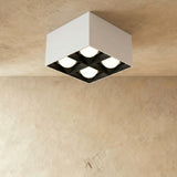 Corymb Downlight