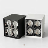 Corymb Downlight