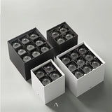 Corymb Downlight