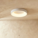Cove Ceiling Light