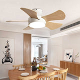 Dacite Ceiling Fan