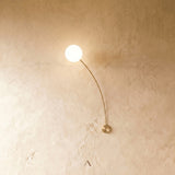 Dalias Wall Light