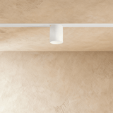 Obsidian Track Light