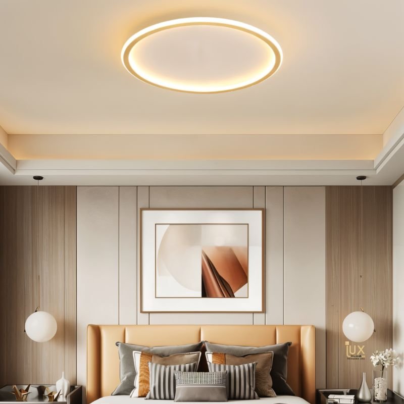 image_text: dayira-ceiling-light-689355 578b7e11-c97c-43eb-...