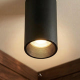 Dedus Downlight