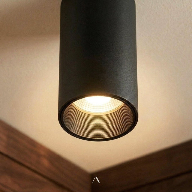 Dedus Downlight