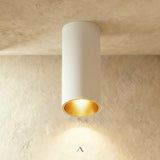Dedus Downlight