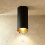 Dedus Downlight