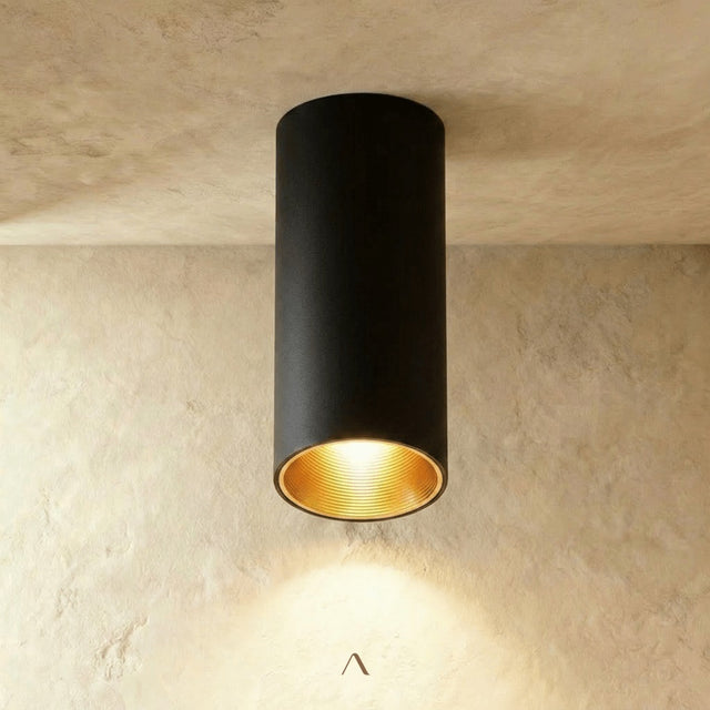 Dedus Downlight