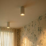 Dedus Downlight