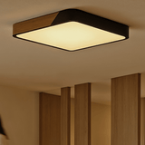 Bokeh Ceiling Light