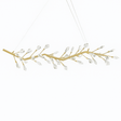 Paderup Chandelier