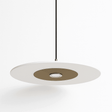 Franken Pendant Light