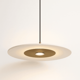 Franken Pendant Light