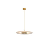Franken Pendant Light