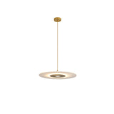 Franken Pendant Light