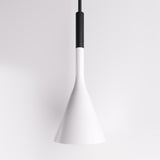 Trunk Pendant Light