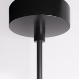Trunk Pendant Light