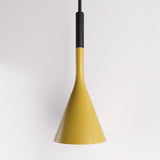 Trunk Pendant Light