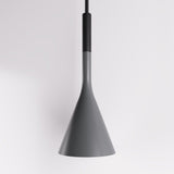 Trunk Pendant Light