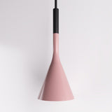 Trunk Pendant Light